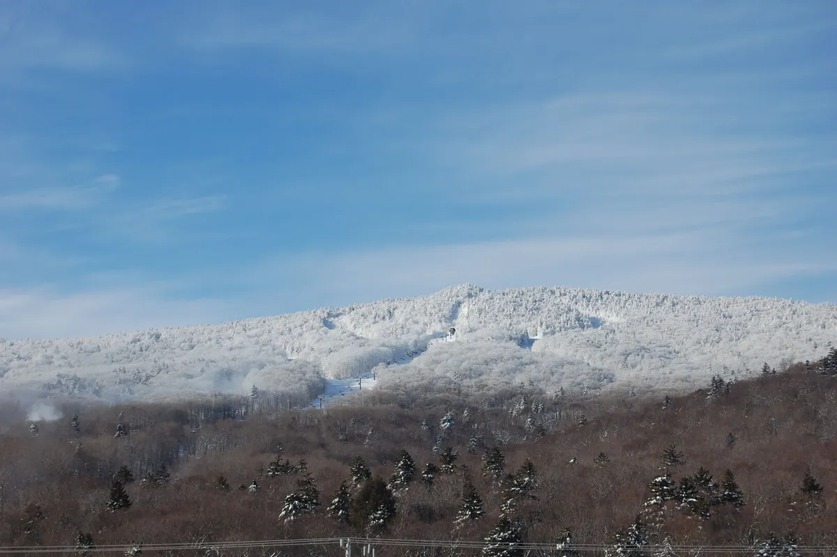 A sweeping, snow-covered mountain landscape dotted with evergreen trees under a clear blue sky. In the foreground, ski and snowboard tracks are visible, hinting at winter sports activity. The scene conveys the vastness and excitement of Killington’s slopes.